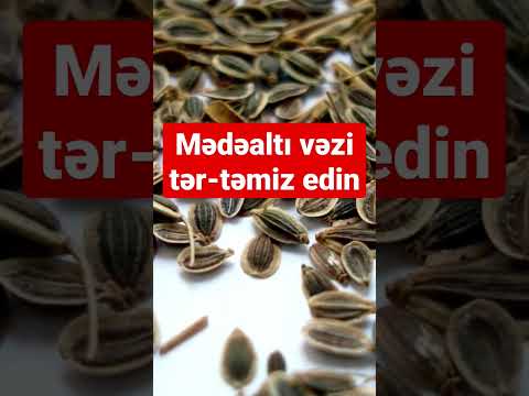 Video: Toxumlarım cücərməzsə nə etməliyəm?