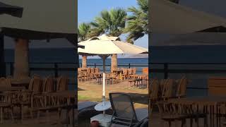 Mükellef Gümüşlük Bodrum