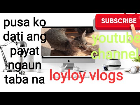 Video: Pagdiyeta Ng Cat: Paano Matutulungan Ang Iyong Payat Na Mawalan Ng Timbang
