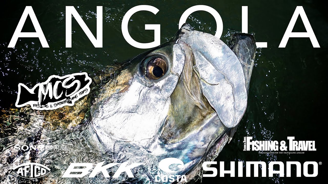 TARPON MADNESS - MCS Worldwide Fishing & Spearfishing Trips