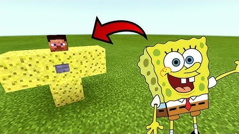 How to spawn Sponge Bob in Minecraft