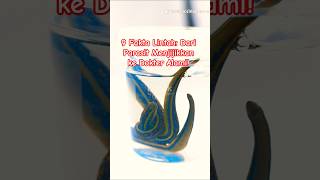9 Fakta Lintah: Dari Parasit Menjijikkan ke Dokter Alami! #shortvideo, #faktaunik, #animals, #lintah