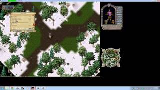 Uo Forever - New Player Guide Part 5