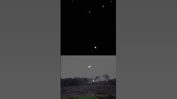 Deforestation of Borneo #shorts #conservation #forest #enviroment