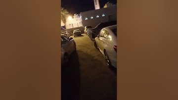 فاتخذت من دونهم حجابا فأرسلنا إليها روحنا فتمثل لها بشرا سويا/ سورة مريم/ الشيخ ابراهيم الدريملى