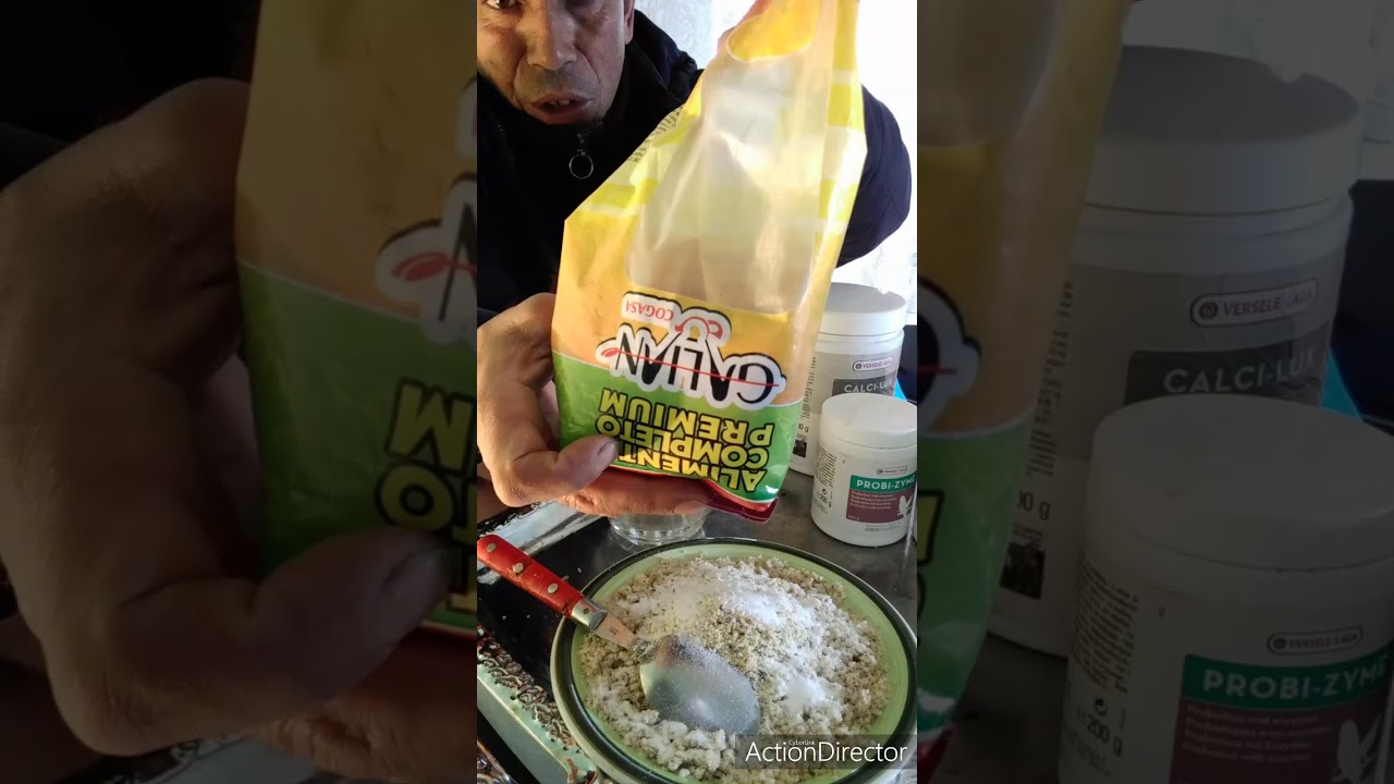 خلطة بلبولة الشعير و خميرة البيرة ، كيف تصنعها لطيورك