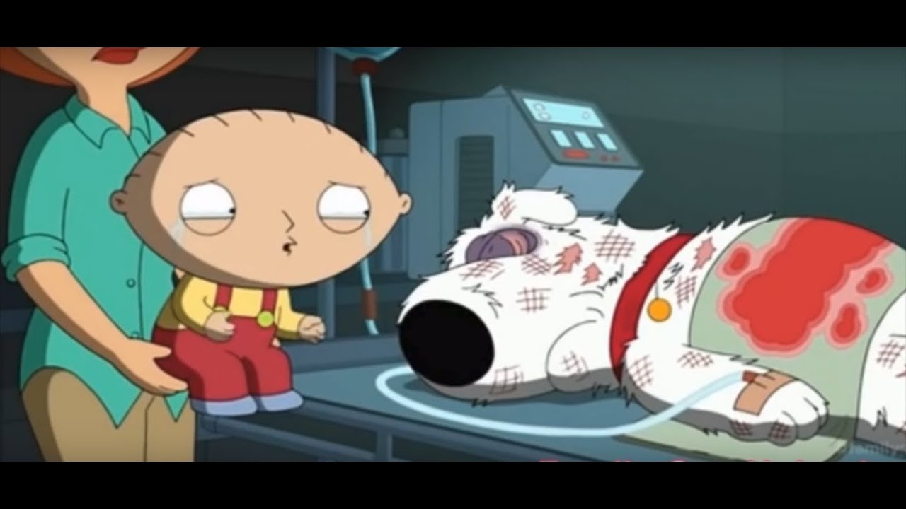 Family Guy Brian's Dead YouTube