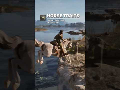 Every horse has its own personality