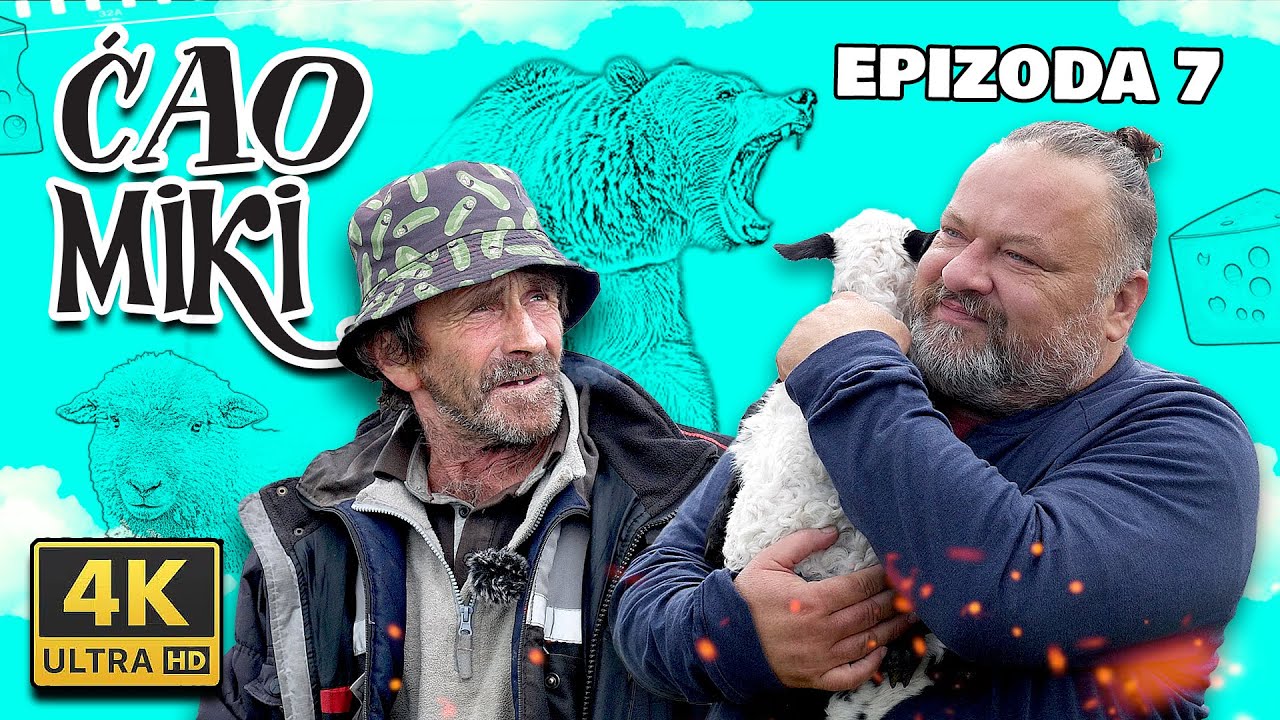 ČOBAN NA VRH VLAŠIĆA IMA PREKO 600 OVACA, MEDVJED MU POJEO MAGARCA!