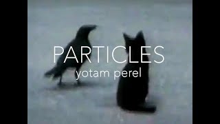 Watch Yotam Perel Particles video
