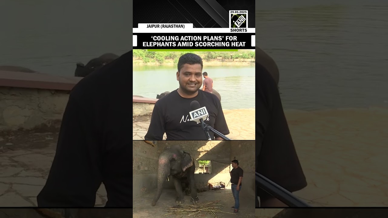 Soaring temperatures take a toll on elephants  in Hathi Gaon; ‘Cooling action’ plans rolled out