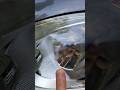 Like New Vehicle Headlamp Lenses #automobile #wet sand and buff out lenses #cloudy headlights