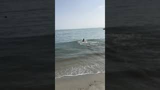 バカ翔太 Youtube バカ翔太 Youtube