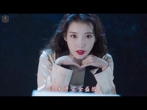 [MV繁中字] IU (아이유) - Celebrity【Chinese Sub】