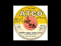 The Raiders - Raiders From Outer Space