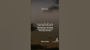 تلاوه رائعه من سوره البقره للقارئ الشيخ مشاري العفاسي #قناه نور القرآن الكريم #صلو على النبي