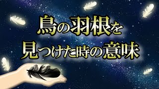 【サイン】あなたに伝えるために天からヒラヒラ落ちてきたメッセージ【鳥の羽根】