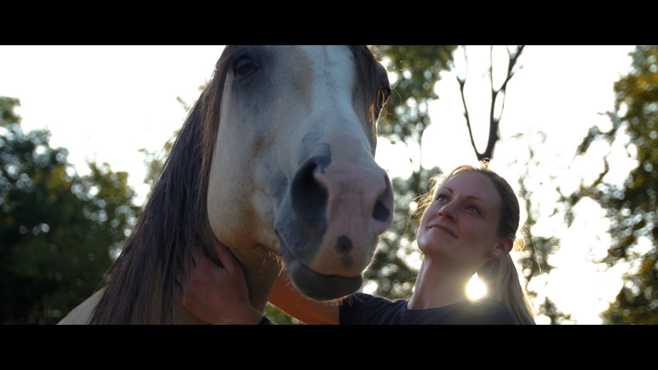 Equicie à l'asso Equi'défis