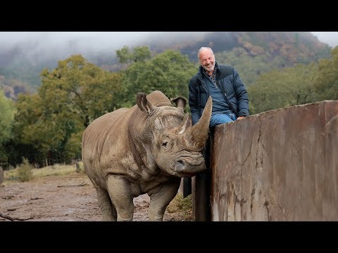 Video: Blev safari vest påvirket af brandene?