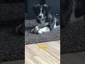 Sie werden so schnell erwachsen...