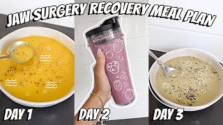 Jaw Surgery Recovery Meal Plan (HIGH PROTEIN LIQUID DIET!) Ep. 7 screenshot 4