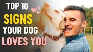 Top 10 Signs Your Dog Loves You | Things Dogs Do That Prove They Really Love You | Pet Pedia screenshot 5