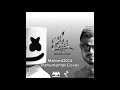 Bayen Habeit - Marshmello and Amr Diab (Maland2016 INSTRUMENTAL COVER)