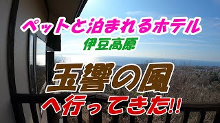 ペットと泊まれるホテル 玉響の風 カーロリゾート に行ってきた Youtube