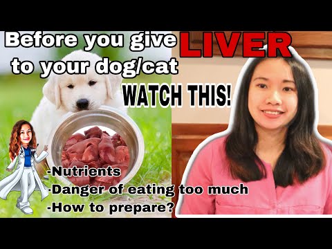 CHICKEN OR BEEF LIVER FOR PETS? IS IT SAFE || ANIMAL LOVERS