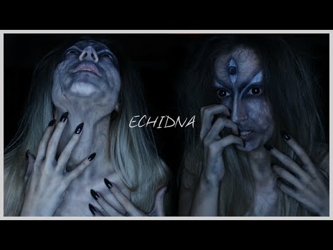Βίντεο: Echidna (ζώο): φωτογραφία, περιγραφή, βιότοπος