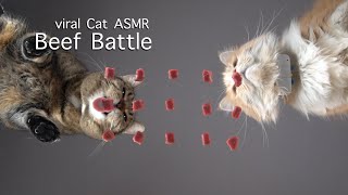 Cat eating ASMR FurryFritz Beef Battle by FurryFritz - Catographer 42,289 views 3 years ago 44 seconds