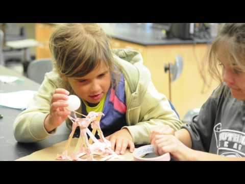 Students Experience ExploreHope
