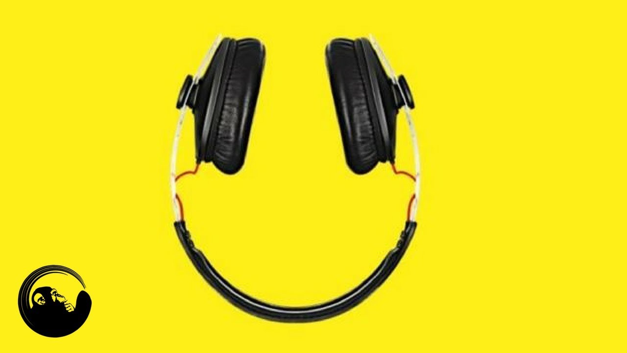 Why Some Ideas Survive and Others Die