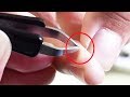 【裏技】刺さったトゲを抜く方法！