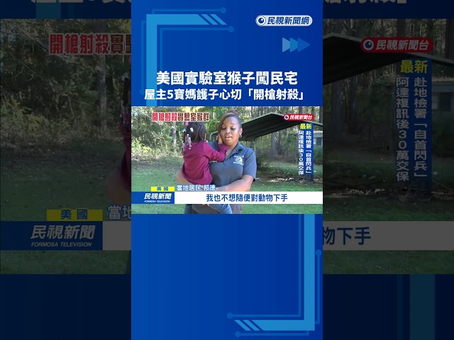 美國實驗室猴子闖民宅 屋主5寶媽護子心切「開槍射殺」－民視新聞