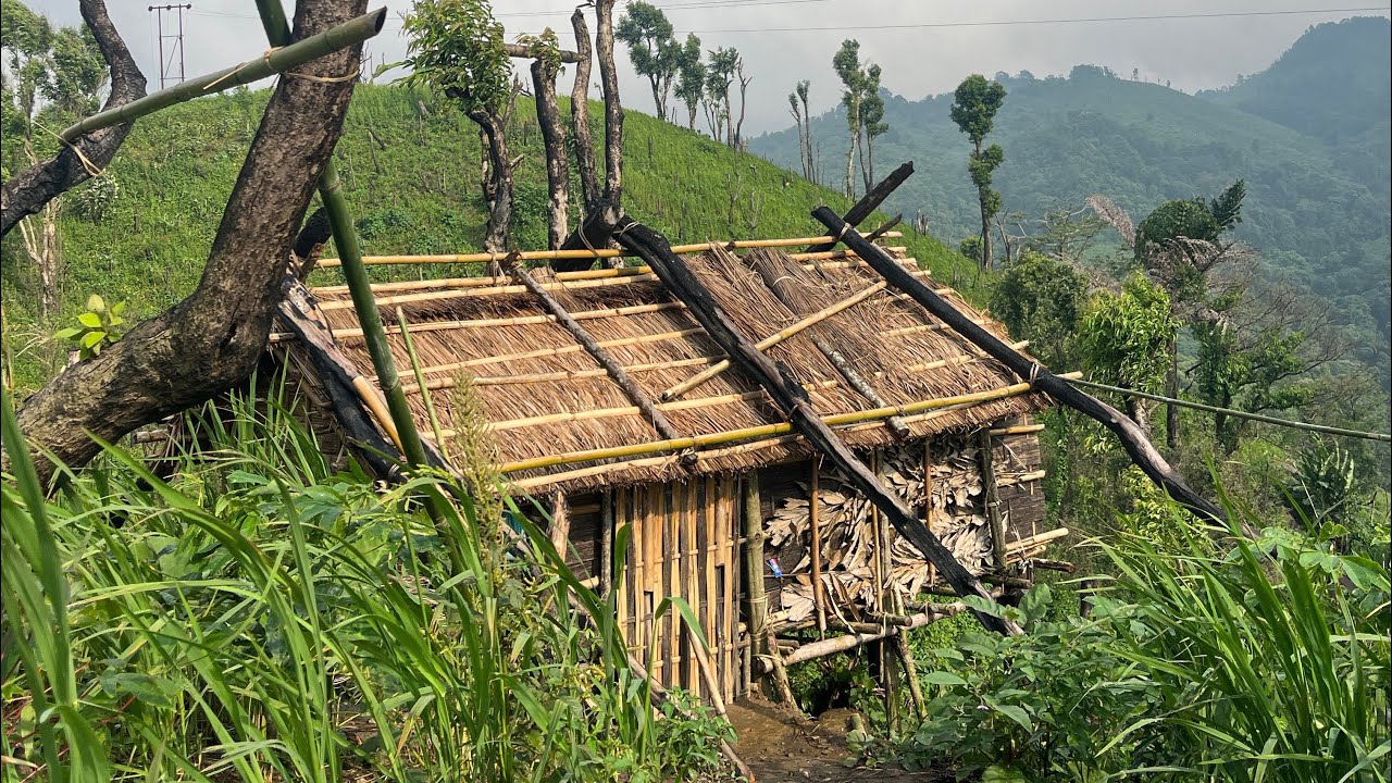 Somewhere in Garo Hills, Meghalaya 