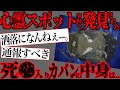 【2ch怖いスレ】心霊スポット実況凸 結末がヤバすぎた...
