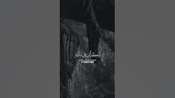 الذين صبروا وعلى ربهم يتوكلون القارئ { عبدالرحمن مسعد } 😌