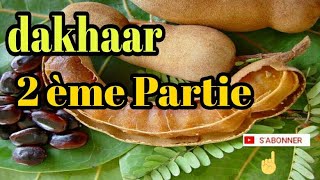 Dakhaar 2Ème Partie Ak Serigne Ousmane Cissé