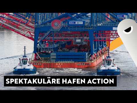 👉 🚢 Spektakulär: Containerbrücken in Action & Kreuzfahrtschiff auf Hafenrundfahrt