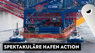 👉 🚢 Spektakulär: Containerbrücken in Action & Kreuzfahrtschiff auf Hafenrundfahrt