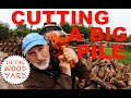 #353 - POV - Cutting logs with Husqvarna Saws Cutting