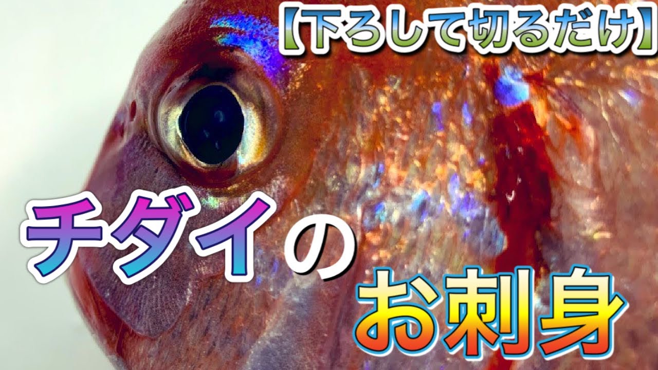 簡単魚料理 チダイのお刺身 西野勇馬 深海魚ハンターチャンネル 簡単スタイル