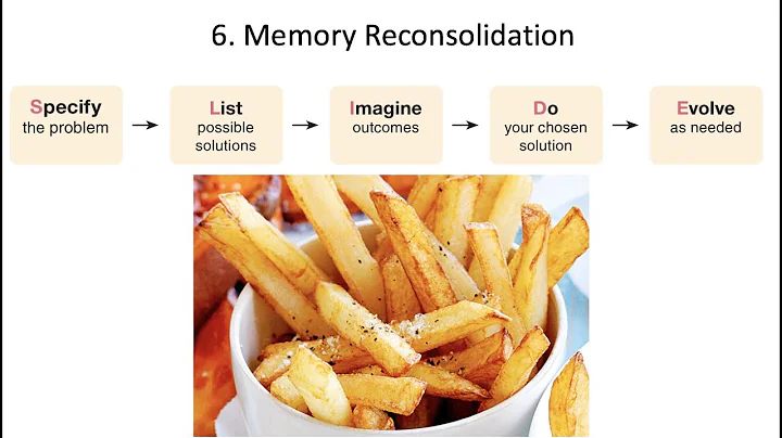 7.6. Reshaping Memories, Fundamentals of Cognitive Neuroscience Course, Session 7, Part 6