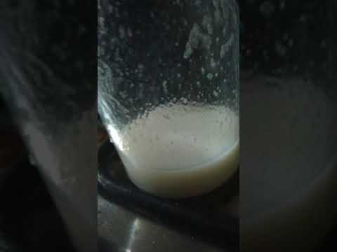 ديب فريزر وايت ويل سميث