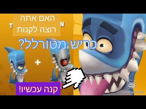 וִידֵאוֹ: מי הדמות הכי חשובה בסערה?