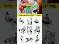 Tricep Workout for Bigger Arms #fitness #motivation #gymlover #gymlife #trending #viralreels