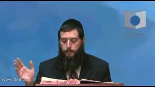 הדף היומי - מסכת שקלים דף י"ב