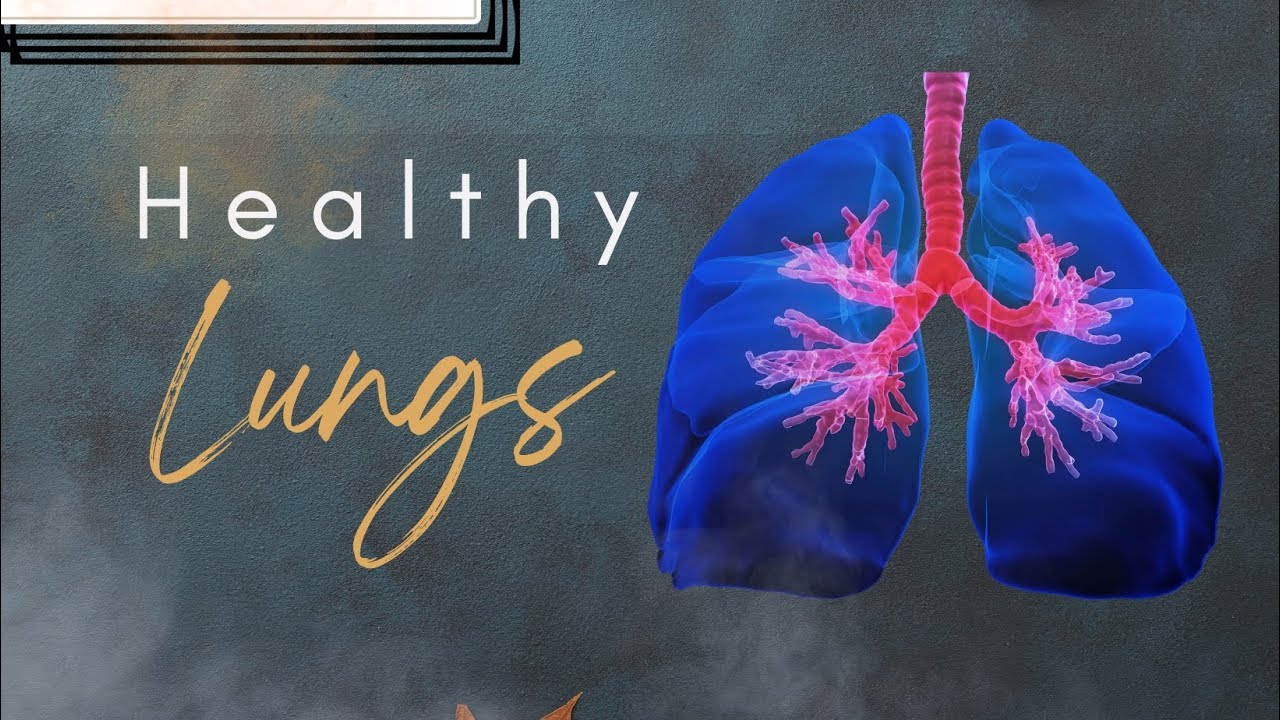 Healthy Lungs Lungs infections Lungs anatomy Lungs test Lungs