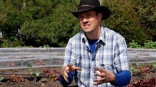 North Bay Bountiful Do-It-Yourself: Compost \& Gardening